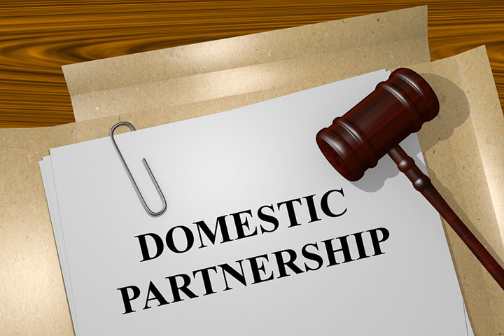 domestic partnership